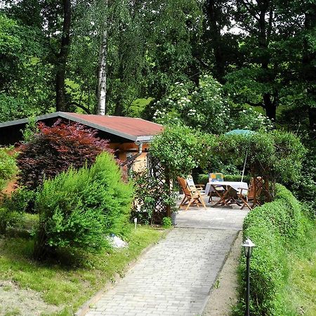 Ferienhaus Am Urzeitpark Sebnitz Hertigswalde المظهر الخارجي الصورة