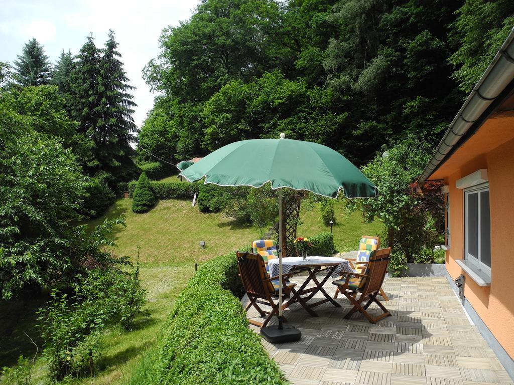 Ferienhaus Am Urzeitpark Sebnitz Hertigswalde المظهر الخارجي الصورة