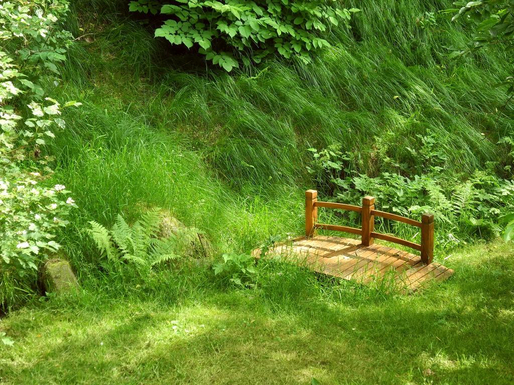 Ferienhaus Am Urzeitpark Sebnitz Hertigswalde المظهر الخارجي الصورة